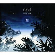 Coil: MUSICK TO PLAY IN THE DARK CD - Click Image to Close