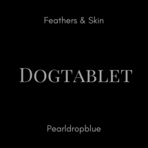 Dogtablet: FEATHERS & SKIN/PEARLDROP BLUE 2CD - Click Image to Close