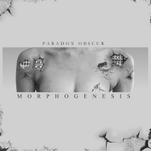 Paradox Obscur: MORPHOGENESIS CD - Click Image to Close