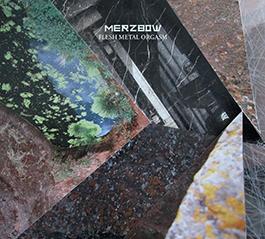 Merzbow: FLESH METAL ORGASM CD - Click Image to Close