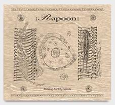 Rapoon: RAISING EARTHLY SPIRITS (LIMITED WOODEN SLIDER BOX) CD - Click Image to Close