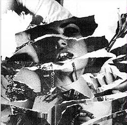 Forever Grey: SYMPATHY GARDEN (LIMITED PURPLE) VINYL LP - Click Image to Close