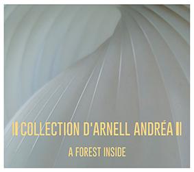 Collection D'Arnell Andrea: FOREST INSIDE, A CD - Click Image to Close